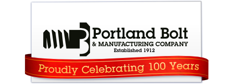 logo-100years